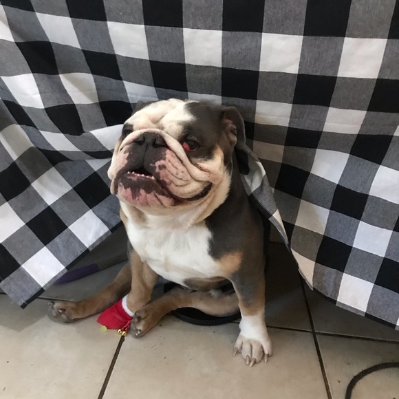 Meet your Posher, Kimberly - Picture 6 of 10